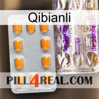 Qibianli new12